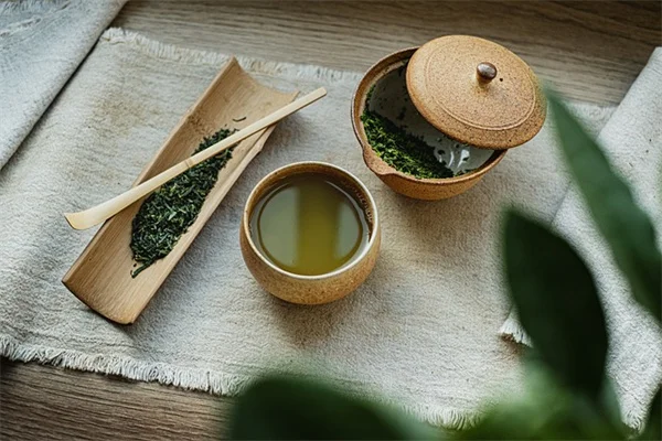 垂直ガーデニング初心者ガイド：おすすめの植物と3つの基本工法