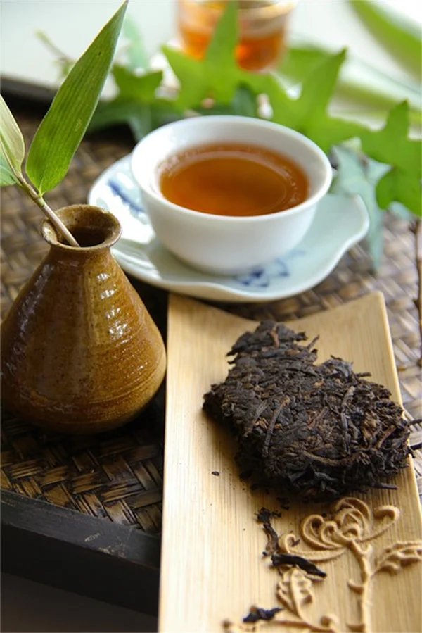観葉植物の葉っぱ掃除はこれで決まり！私が3年使う安全な手作り艶出しスプレー
