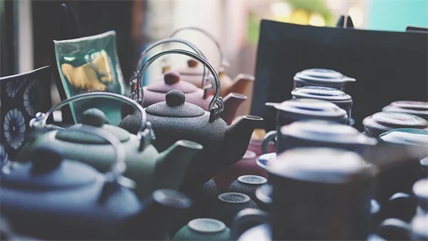 イモリの生息地を庭に作るコツ、初心者でも簡単に安全な池をDIY