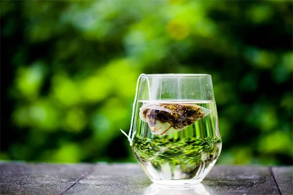 花が咲く植物でプライバシーを確保！裏庭を自分だけの楽園にする6つの方法