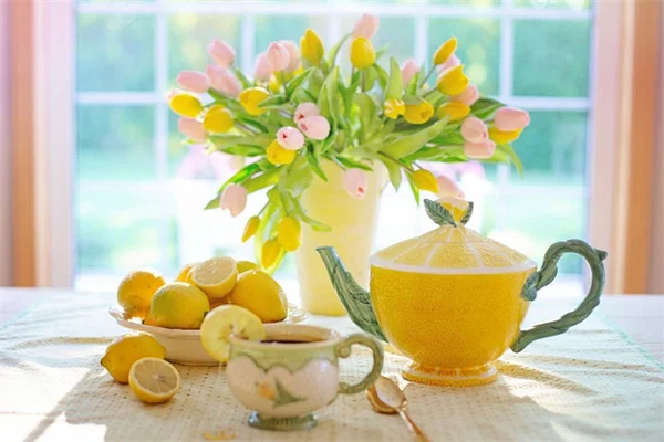 【保存方法】家庭菜園の収穫を無駄にしない！おすすめ食用植物8選